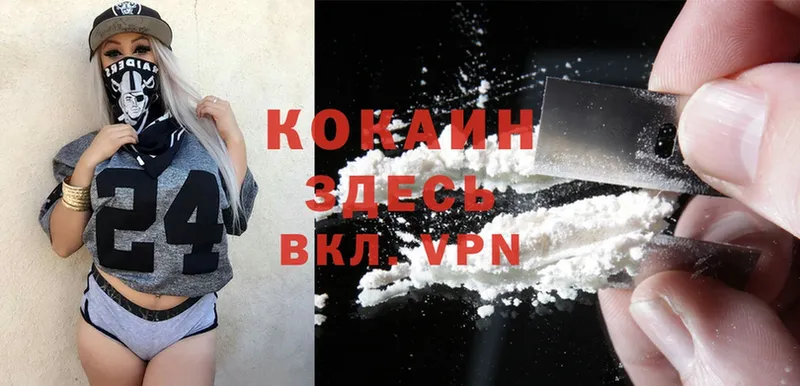 Cocaine FishScale  купить наркотики цена  Иркутск 